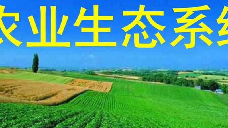 济南粮食种植，如何甄别靠谱公司？**