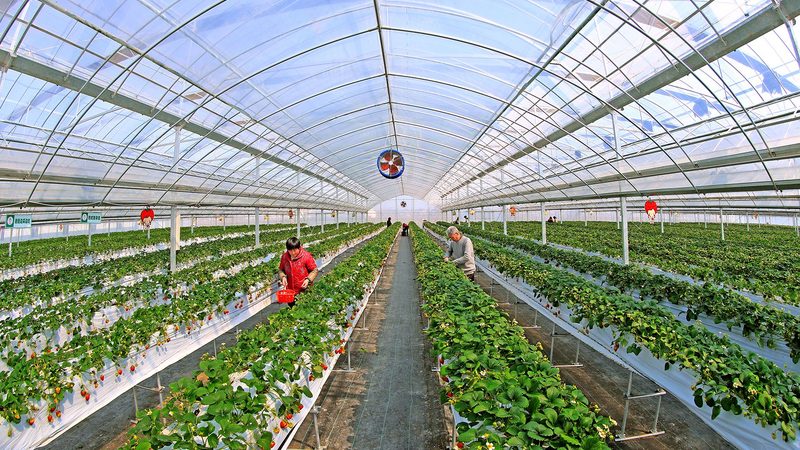 生鲜配送包装材质要求：安全、环保、保鲜三合一