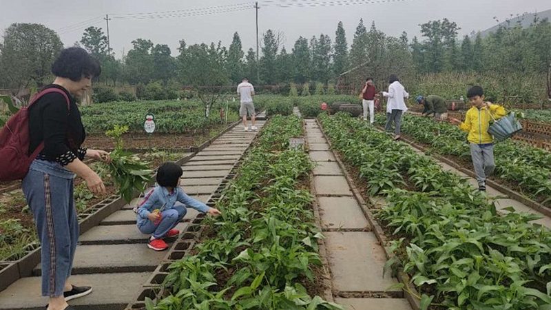 然而，社区团购模式也存在一些问题：