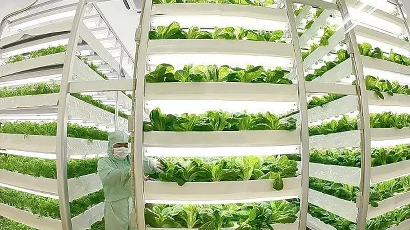 学校食堂农产品配送合同范本：规范流程与关键要素