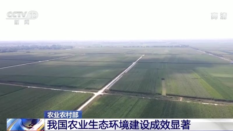 休闲农业品牌定位：打造特色，赢占市场