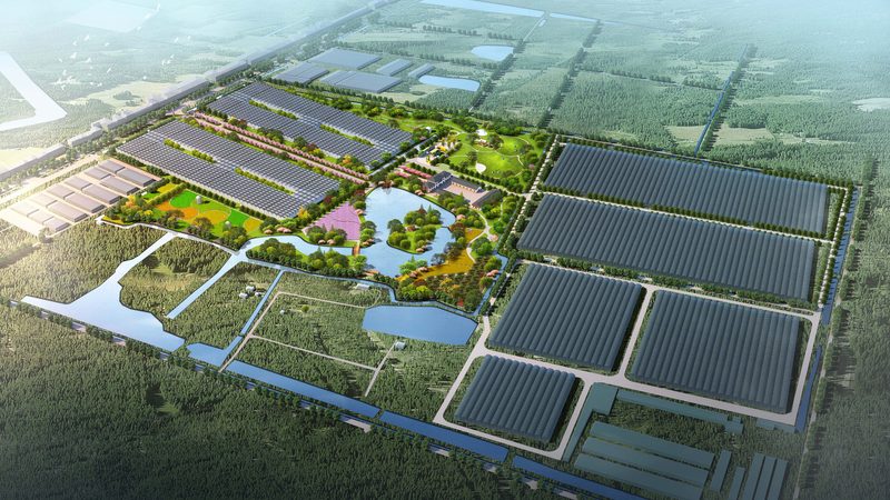 智慧农业种植系统：揭秘其规格型号与选型逻辑
