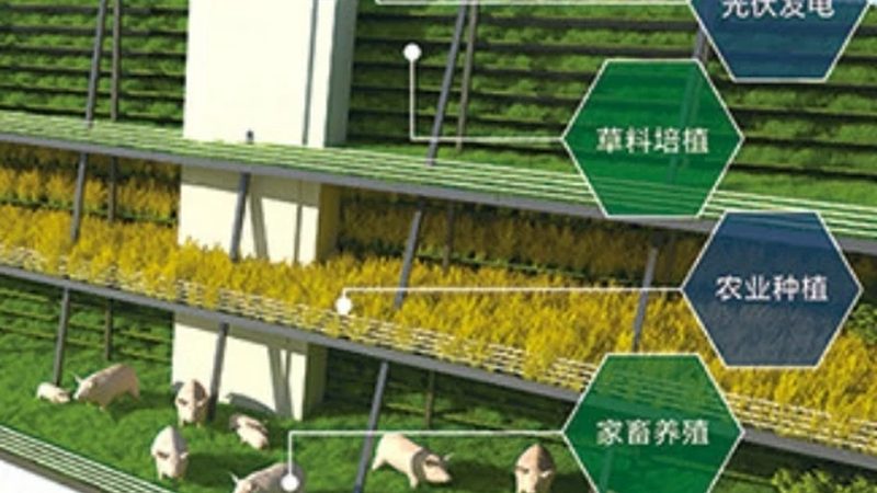绿色食品认证办理流程解析：从田间到餐桌的绿色之旅