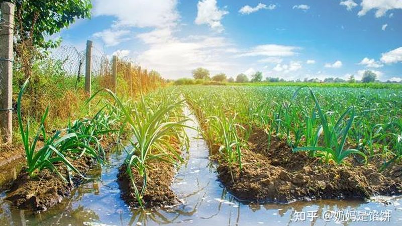 农资批发，最小起订量如何合理选择？**