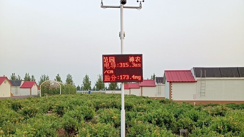 粮食种植公司服务流程揭秘：从咨询到售后，每一步都至关重要