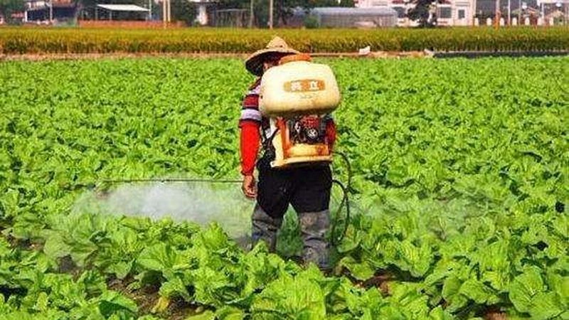 合作社财务管理制度范本：构建透明高效的管理框架