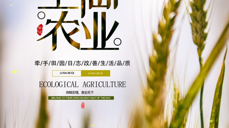 水肥一体化设备：核心参数解析与选型要点